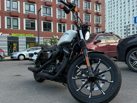 2017 Harley-Davidson Sportster 883, белый, 799990 рублей, вид 2