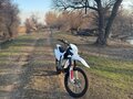 2021 BSE Z5, белый, 160000 рублей - вид 7