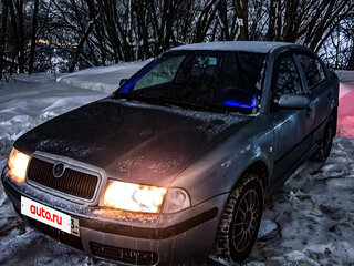 2004 Skoda Octavia I (A4) Рестайлинг, серый, 400000 рублей, вид 1