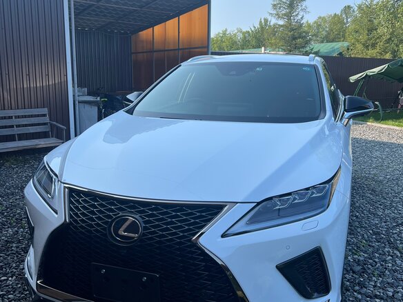 2019 Lexus RX 300 IV Рестайлинг, белый, 5100000 рублей - вид 4