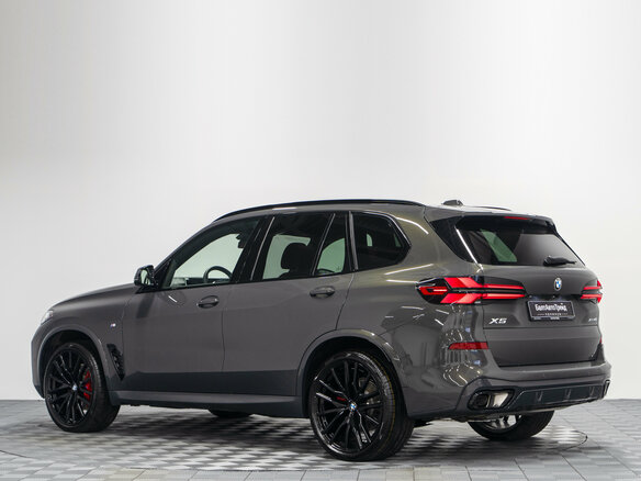 2025 BMW X5 40i IV (G05/G18) Рестайлинг, серый - вид 10