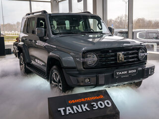 2025 Tank 300 I, серый, 5249000 рублей, вид 4