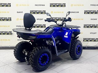 2026 Bison ATV200, синий, 289900 рублей, вид 5
