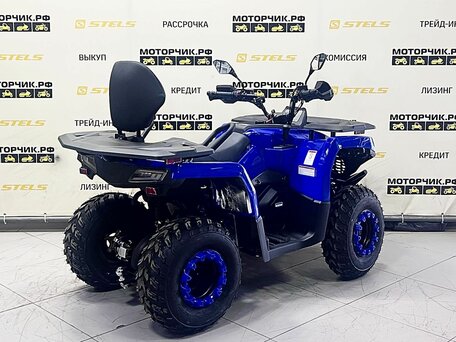 2026 Bison ATV200, синий, 289900 рублей, вид 5