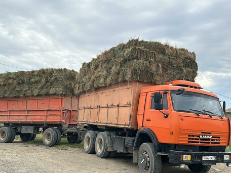 2003 КамАЗ 4528, оранжевый, 2150000 рублей, вид 4