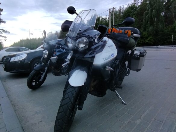 2016 Triumph Tiger 800, белый, 720000 рублей - вид 1