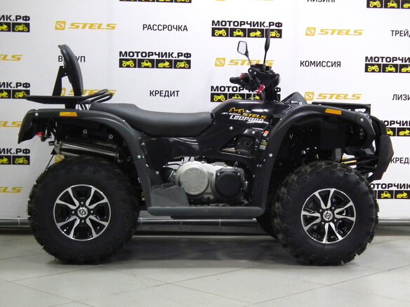 2026 Stels ATV-600YL Леопард, чёрный, 669000 рублей - вид 6