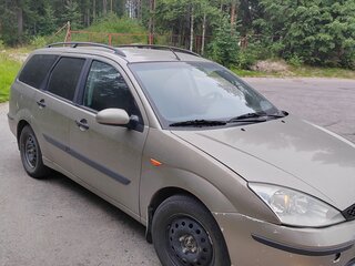 2003 Ford Focus I Рестайлинг, серый, 300000 рублей, вид 1