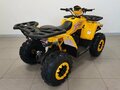 2025 Avantis Hunter 200 Big, жёлтый, 222100 рублей - вид 5