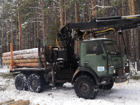 1991 КамАЗ 4310, зелёный, 2750000 рублей, вид 4