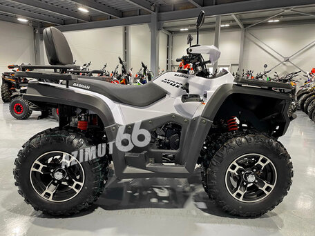 2025 Bashan Explorer 320, белый, 499000 рублей, вид 3