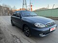 2010 ЗАЗ Chance, серый, 260000 рублей - вид 3