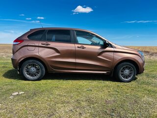 2017 Lada (ВАЗ) XRAY I, коричневый, 850000 рублей, вид 4