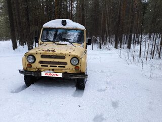 1994 УАЗ 31514, бежевый, 190000 рублей, вид 2