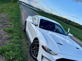 2019 Ford Mustang VI Рестайлинг, белый, 2300000 рублей, вид 1