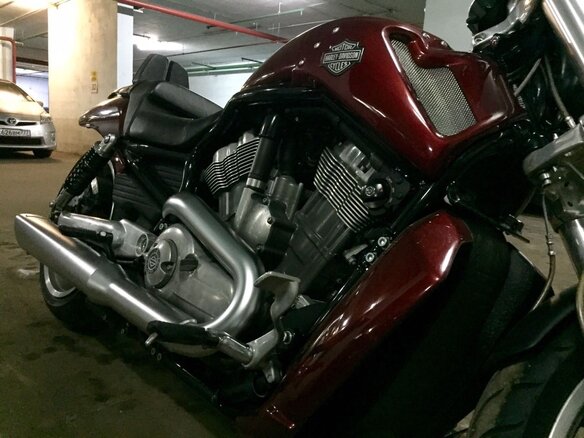 2009 Harley-Davidson V-Rod Muscle, красный - вид 2