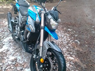2023 Regulmoto T-Leopard 300, синий, 210000 рублей, вид 4