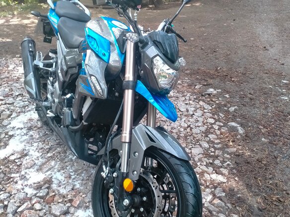 2023 Regulmoto T-Leopard 300, синий, 210000 рублей - вид 3