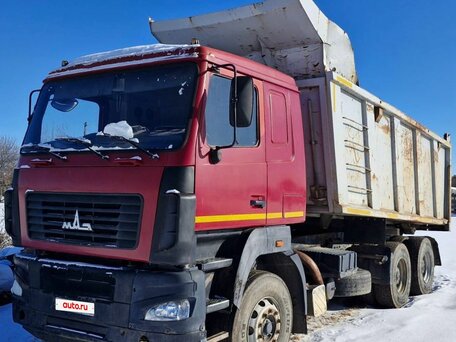 2013 МАЗ 6501, красный, 1600000 рублей, вид 2