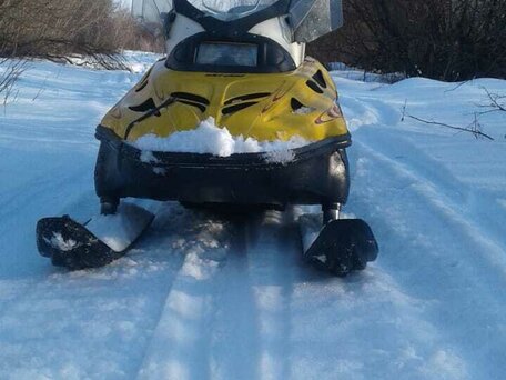 2001 BRP Ski-Doo Skandic 550, жёлтый, 410000 рублей, вид 4