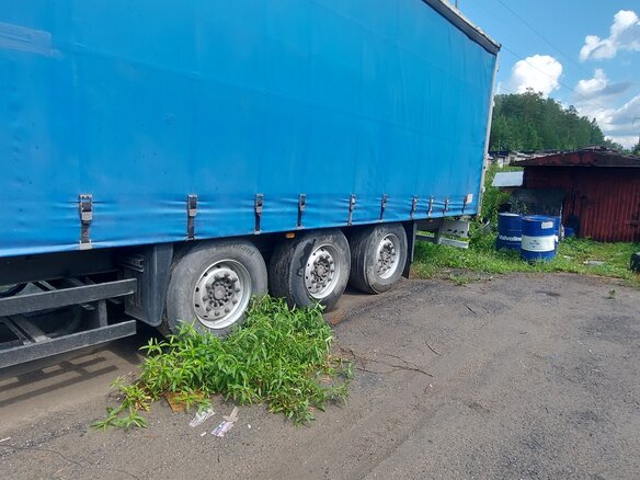 2006 Schmitz Cargobull S01, серый, 800000 рублей - вид 6