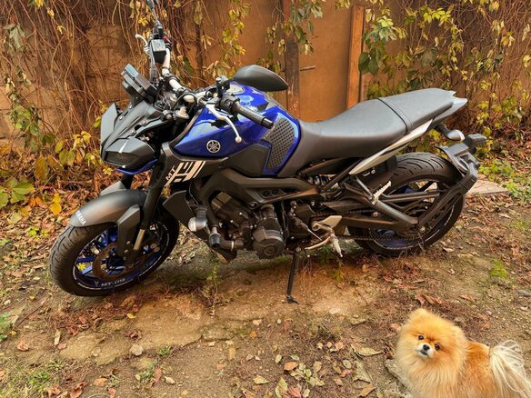 2020 Yamaha MT-09 (FZ-09), синий, 1000000 рублей - вид 3