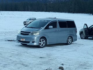2006 Toyota Alphard I Рестайлинг, серый, 2110112 рублей, вид 1