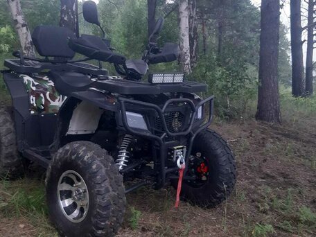 2024 Другие ATV (другие), зелёный, 275000 рублей, вид 1