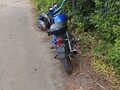 2016 ABM Alpha 110, синий - вид 2