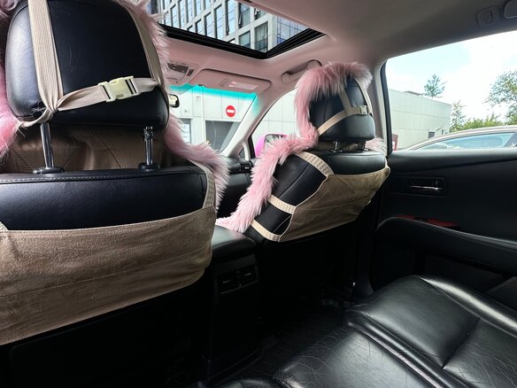 2010 Lexus RX 350 III, красный, 2500000 рублей - вид 16