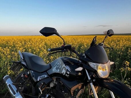 2023 Regulmoto SK200, чёрный, 65000 рублей, вид 4
