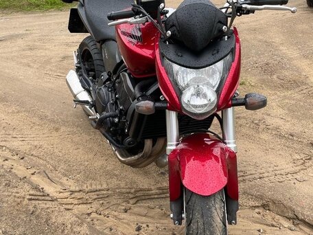2009 Honda CB 600F Hornet, красный, 480000 рублей, вид 1