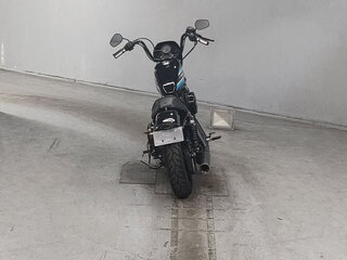 2021 Harley-Davidson Sportster 1200, чёрный, 960000 рублей, вид 4