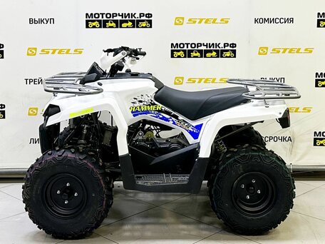 2025 Bison ATV200, белый, 219000 рублей, вид 2