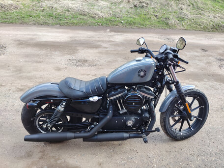 2021 Harley-Davidson Sportster 883, серый, 785840 рублей, вид 2