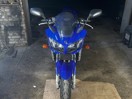 2002 Yamaha FZS1000 Fazer, синий, 400000 рублей, вид 1