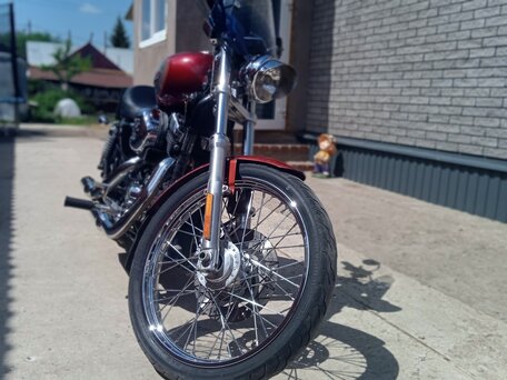 2009 Harley-Davidson Sportster 1200, пурпурный, 650000 рублей, вид 4
