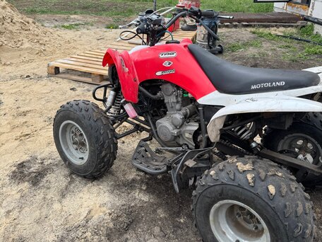 2016 Motoland ATV 250S, красный, 120000 рублей, вид 2