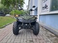 2023 Irbis ATV 200U, зелёный, 319900 рублей - вид 8