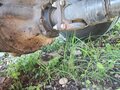 1989 Fuso (Mitsubishi) Canter, серый, 350000 рублей - вид 3