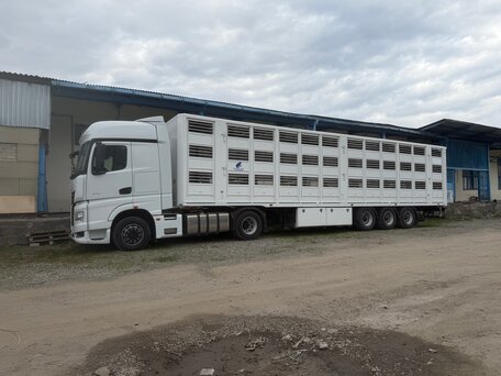 2024 КамАЗ 54901, белый, 17500000 рублей, вид 3