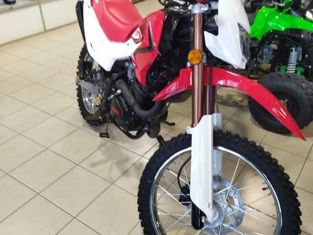2022 Irbis TTR 250, красный, 125000 рублей, вид 2