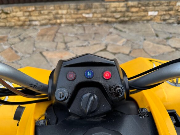 2008 BRP Can-Am DS 250, жёлтый, 329990 рублей - вид 23