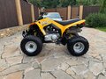 2008 BRP Can-Am DS 250, жёлтый, 329990 рублей - вид 7