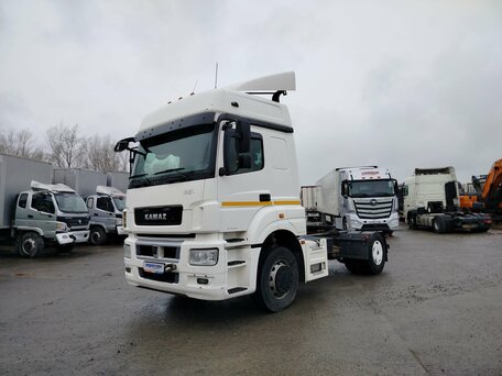 2020 КамАЗ 5490, белый, 2560000 рублей, вид 1