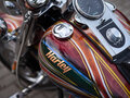 2004 Harley-Davidson Softail Custom, красный, 1188668 рублей - вид 10