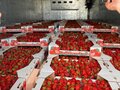 2016 ГАЗ ГАЗон Next, синий, 2450000 рублей - вид 3