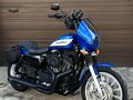 2007 Harley-Davidson Sportster 1200, синий, 650000 рублей - вид 1