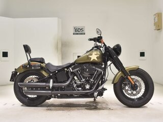 2017 Harley-Davidson Softail Slim, зелёный, 1220000 рублей, вид 1