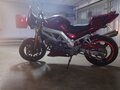 2004 Suzuki SV 650, пурпурный - вид 3